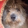 Wanda W Valcea neu
